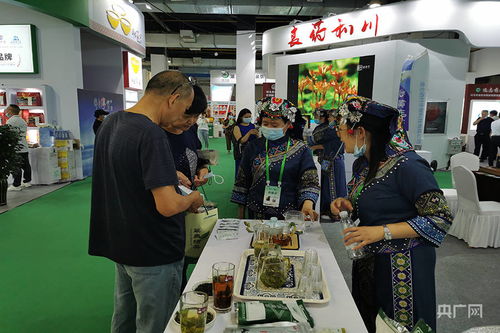 服务乡村振兴 第六届世界硒都·恩施硒产品博览交易会开幕